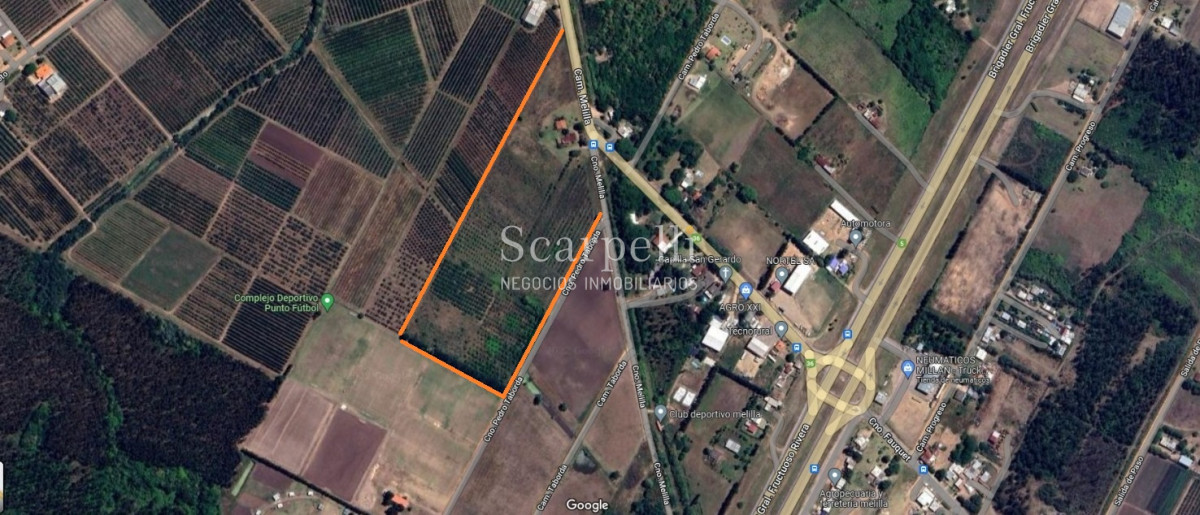 Chacra ID.37768 - VENTA CHACRA MELILLA PRÓXIMO RUTA 5 INSERTA EN PLENO CIRCUITO DE BODEGAS Y CHACRAS TRADICIONALES  EN LA ZONA