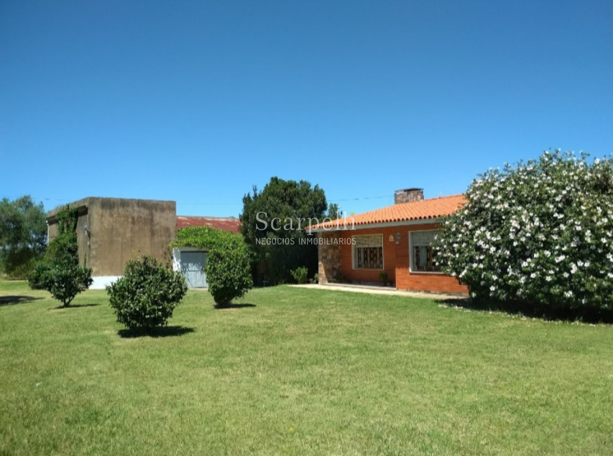 Chacra ID.37768 - VENTA CHACRA MELILLA PRÓXIMO RUTA 5 INSERTA EN PLENO CIRCUITO DE BODEGAS Y CHACRAS TRADICIONALES  EN LA ZONA