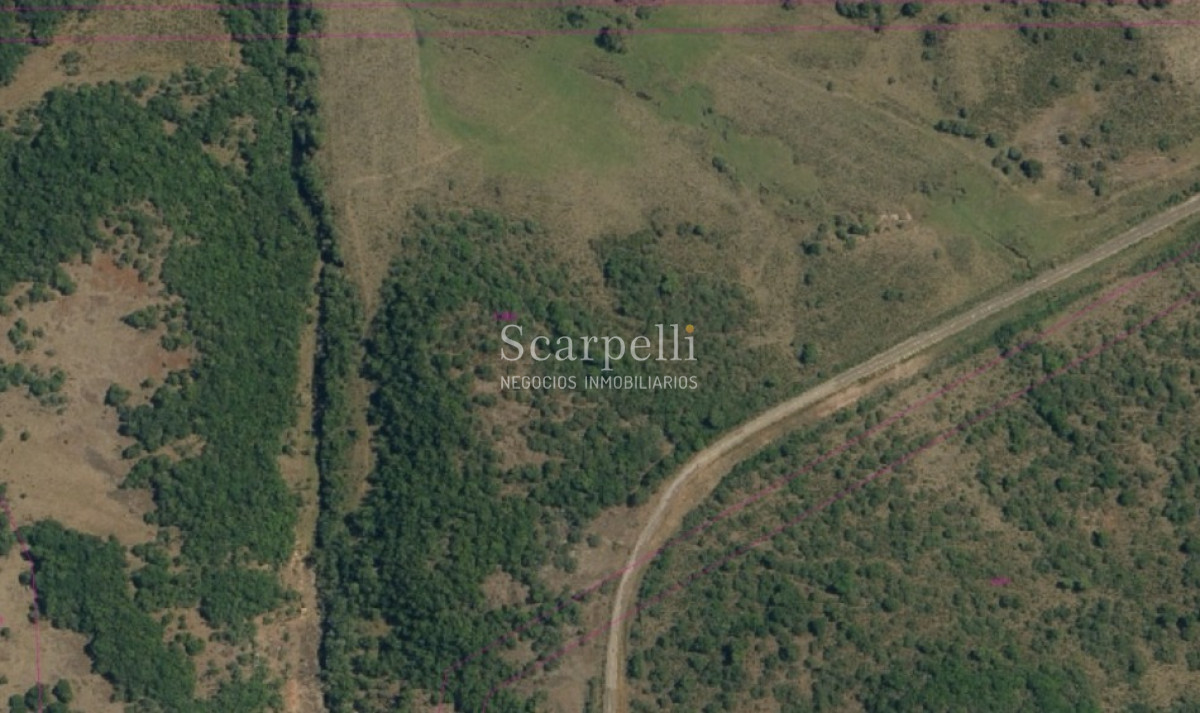 Chacra ID.39842 - Chacra muy Próximo a Ciudad de Tacuarembó en valioso entorno natural con vertiente de agua sobre Ruta Nacional 31 km. 196.-