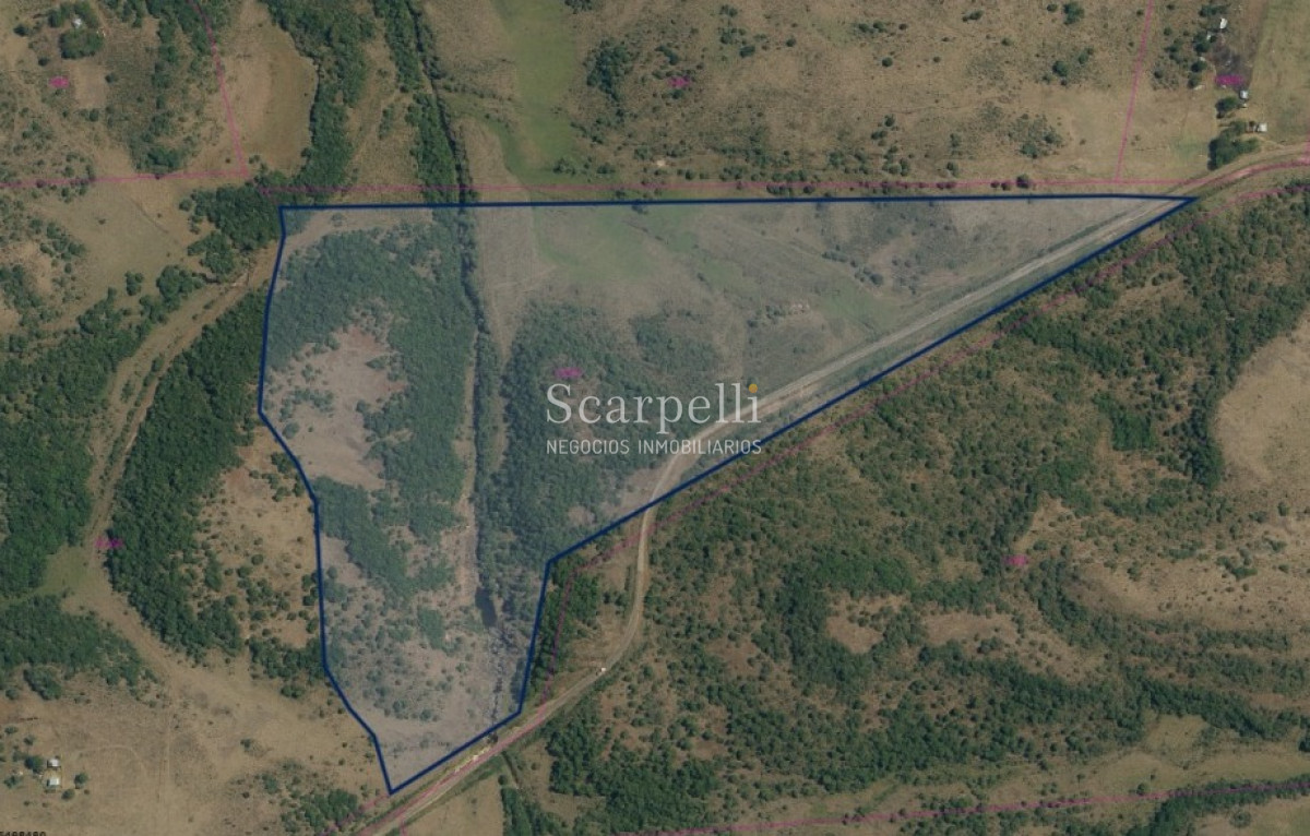 Chacra ID.39842 - Chacra muy Próximo a Ciudad de Tacuarembó en valioso entorno natural con vertiente de agua sobre Ruta Nacional 31 km. 196.-