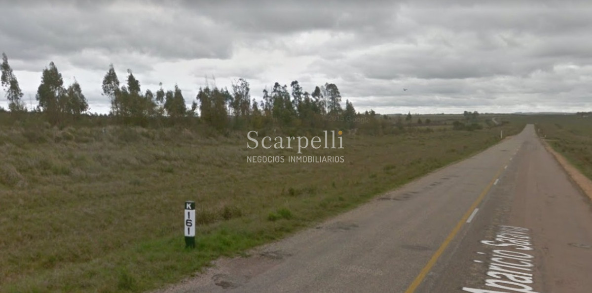 Chacra ID.42782 - Chacra de 25 has sobre Ruta 7 en Cerro Colorado Florida muy próximo a la mas afamada Estancia Turística del Uruguay