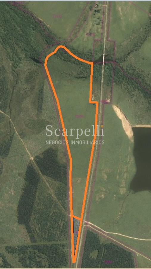 Chacra ID.42782 - Chacra de 25 has sobre Ruta 7 en Cerro Colorado Florida muy próximo a la mas afamada Estancia Turística del Uruguay