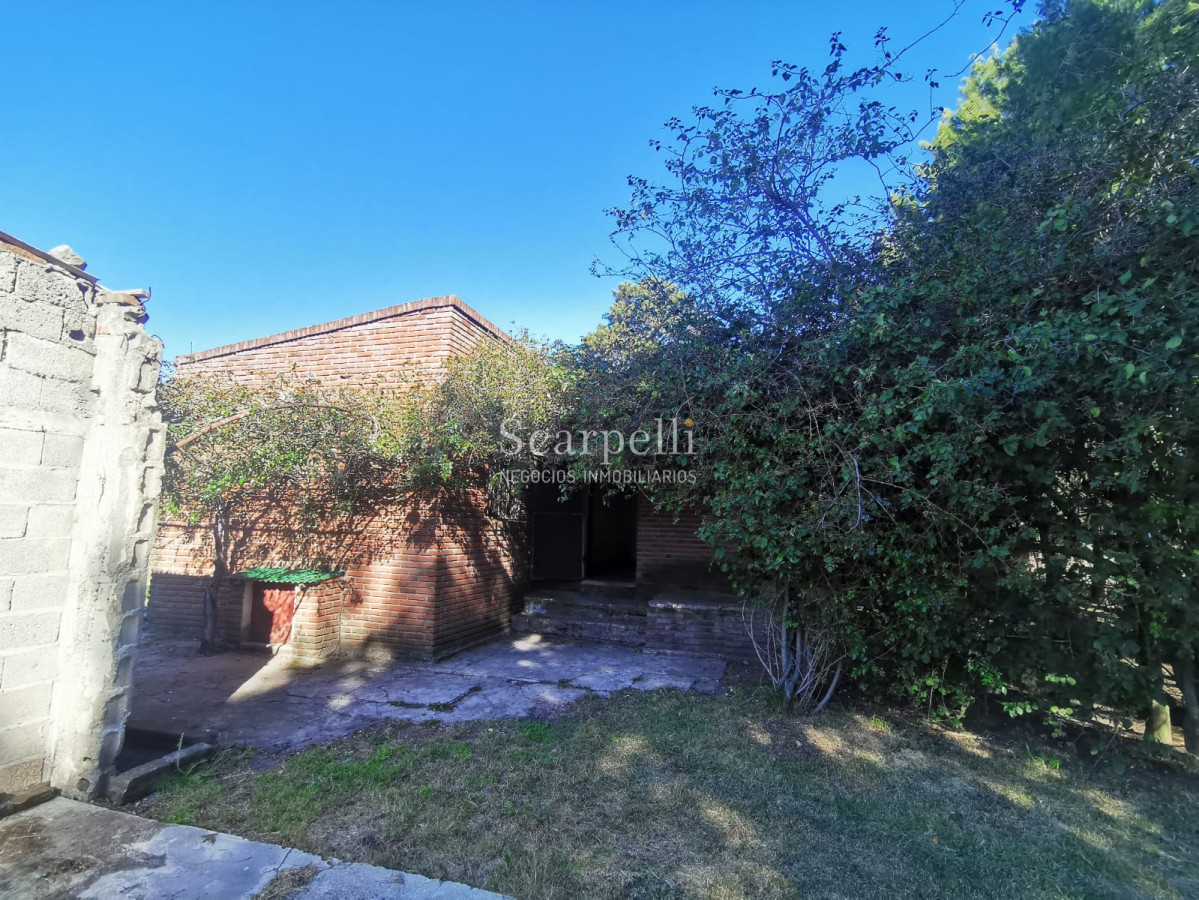 Chacra ID.46361 - Melilla: Chacra de mas de 4 hás Próximo a Ruta 5 sobre Cno. Peixoto con Casa completa y  Galpones.-