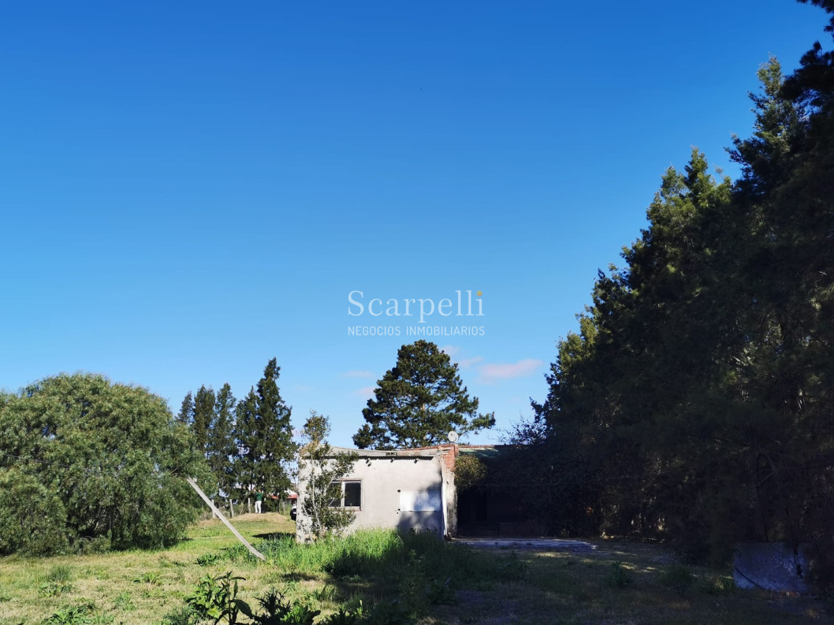 Chacra ID.46361 - Melilla: Chacra de mas de 4 hás Próximo a Ruta 5 sobre Cno. Peixoto con Casa completa y  Galpones.-