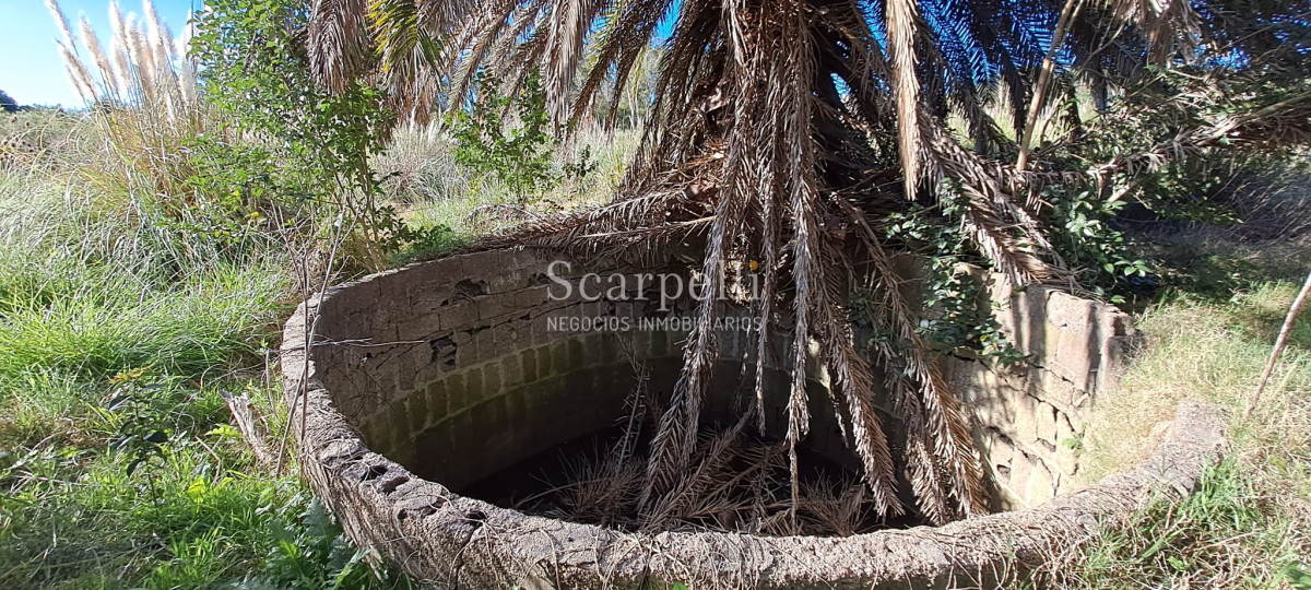 Chacra ID.46361 - Melilla: Chacra de mas de 4 hás Próximo a Ruta 5 sobre Cno. Peixoto con Casa completa y  Galpones.-