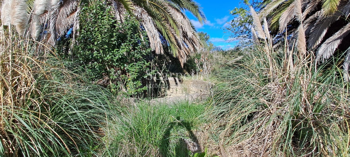 Chacra ID.46361 - Melilla: Chacra de mas de 4 hás Próximo a Ruta 5 sobre Cno. Peixoto con Casa completa y  Galpones.-