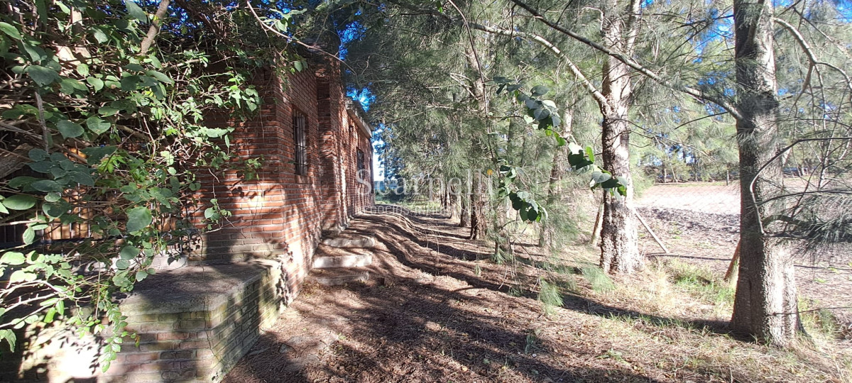 Chacra ID.46361 - Melilla: Chacra de mas de 4 hás Próximo a Ruta 5 sobre Cno. Peixoto con Casa completa y  Galpones.-
