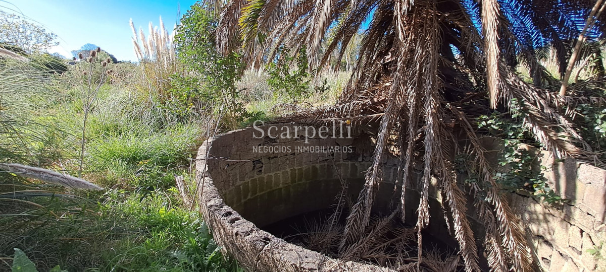 Chacra ID.46361 - Melilla: Chacra de mas de 4 hás Próximo a Ruta 5 sobre Cno. Peixoto con Casa completa y  Galpones.-