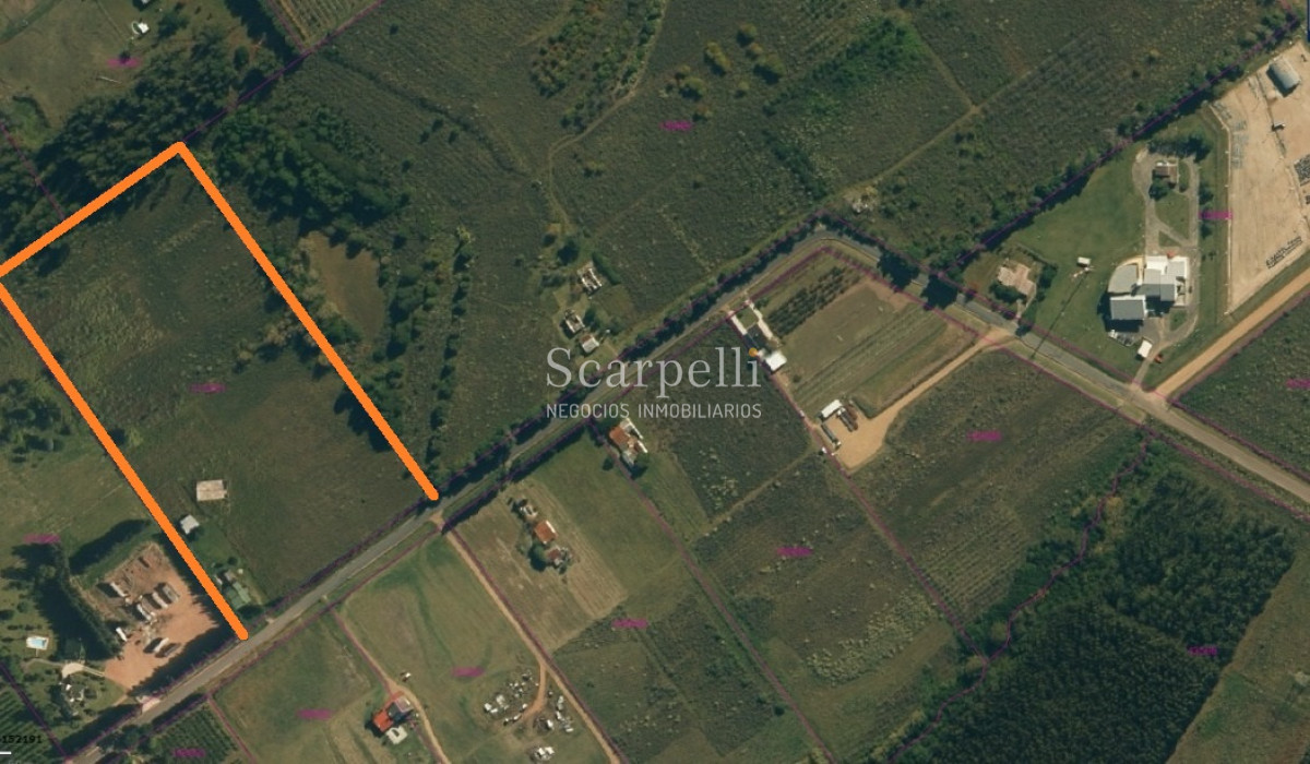 Chacra ID.46361 - Melilla: Chacra de mas de 4 hás Próximo a Ruta 5 sobre Cno. Peixoto con Casa completa y  Galpones.-