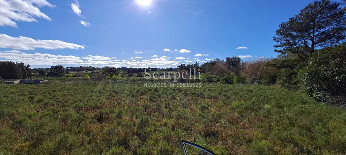 Chacra ID.46361 - Melilla: Chacra de mas de 4 hás Próximo a Ruta 5 sobre Cno. Peixoto con Casa completa y  Galpones.-