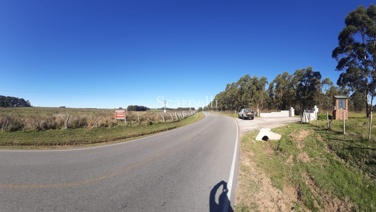 Chacra ID.5062 - Chacra con importante tajamar proximo a La Barra & Hotel Fassano fraccionable en 5 hás.-