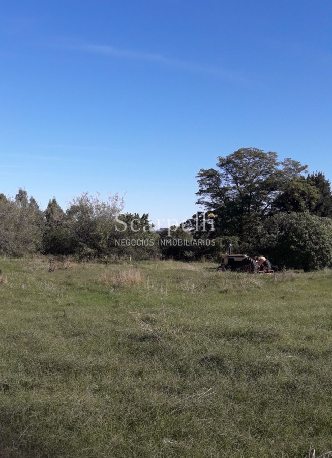 Chacra ID.5906 - Chacras en Brisas del Plata y Santa Regina km 113 Ruta 1 a  65 kms. de Colonia de Sacramento.-