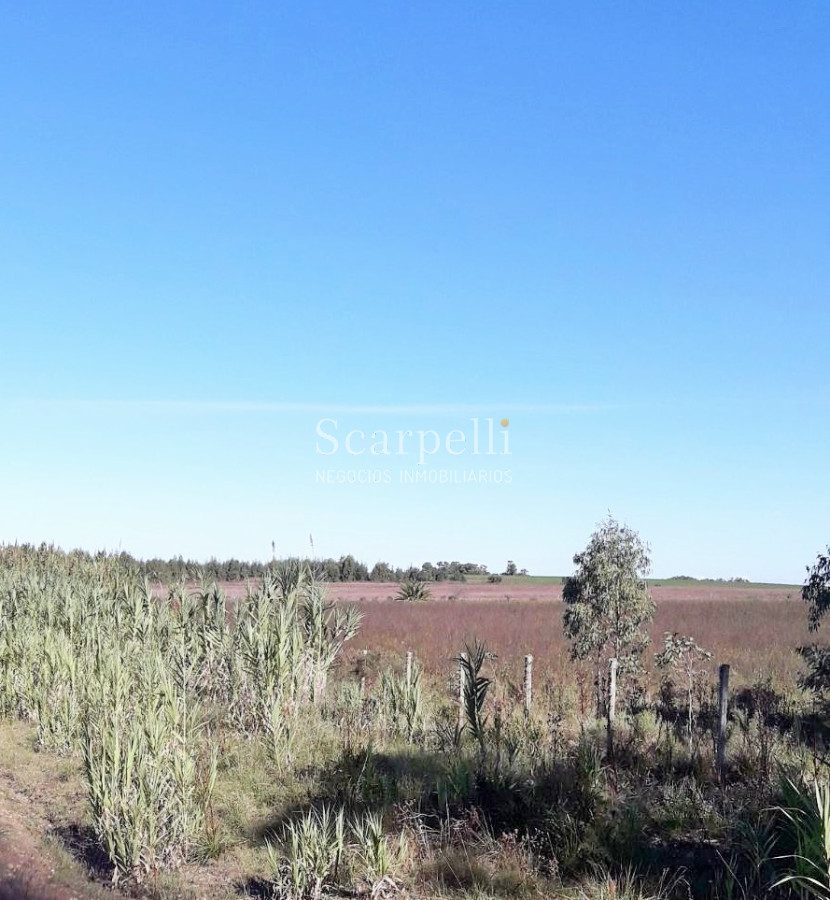 Chacra ID.5906 - Chacras en Brisas del Plata y Santa Regina km 113 Ruta 1 a  65 kms. de Colonia de Sacramento.-
