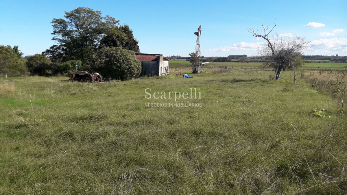 Chacra ID.5906 - Chacras en Brisas del Plata y Santa Regina km 113 Ruta 1 a  65 kms. de Colonia de Sacramento.-