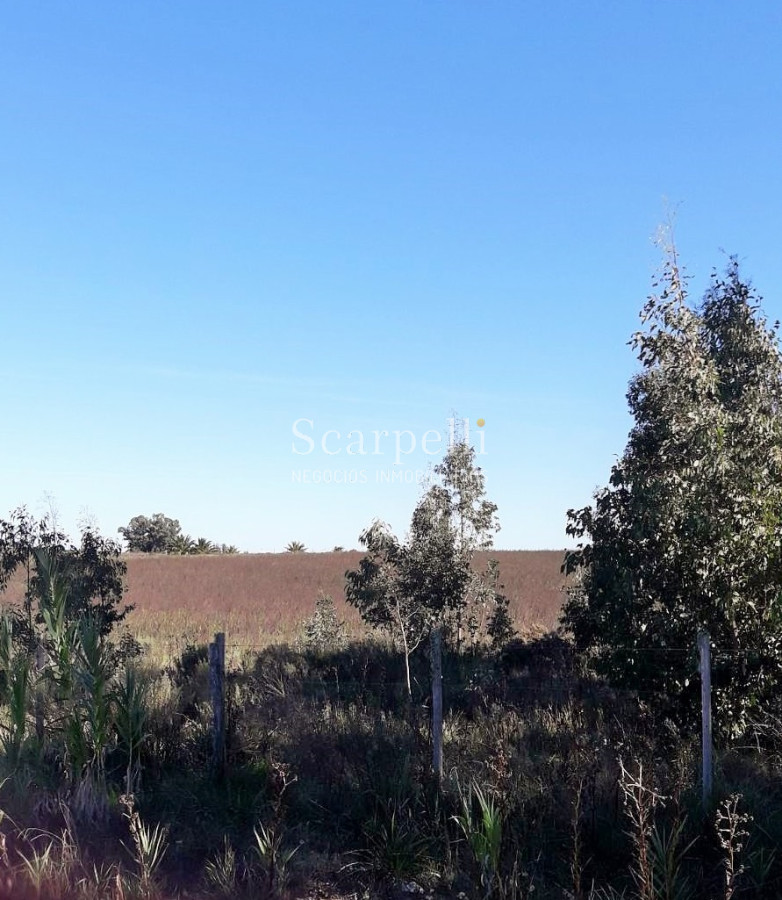 Chacra ID.5906 - Chacras en Brisas del Plata y Santa Regina km 113 Ruta 1 a  65 kms. de Colonia de Sacramento.-