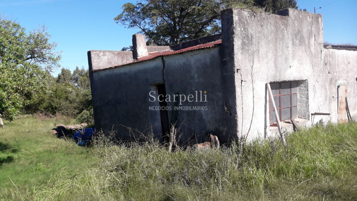 Chacra ID.5906 - Chacras en Brisas del Plata y Santa Regina km 113 Ruta 1 a  65 kms. de Colonia de Sacramento.-