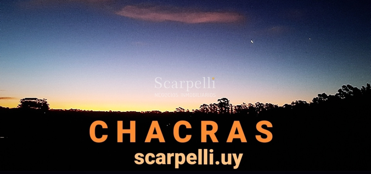 Chacra ID.9697 - Chacra en las Sierras de Rocha Cno. del Arbolito 10 hás. Prox. La Pedrera & Cabo Polonio
