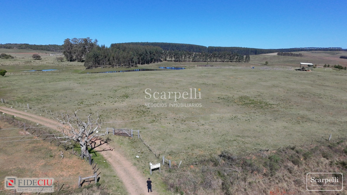 Chacra ID.50498 - Linda Chacra con frente a Ruta Nacional nro. 5
