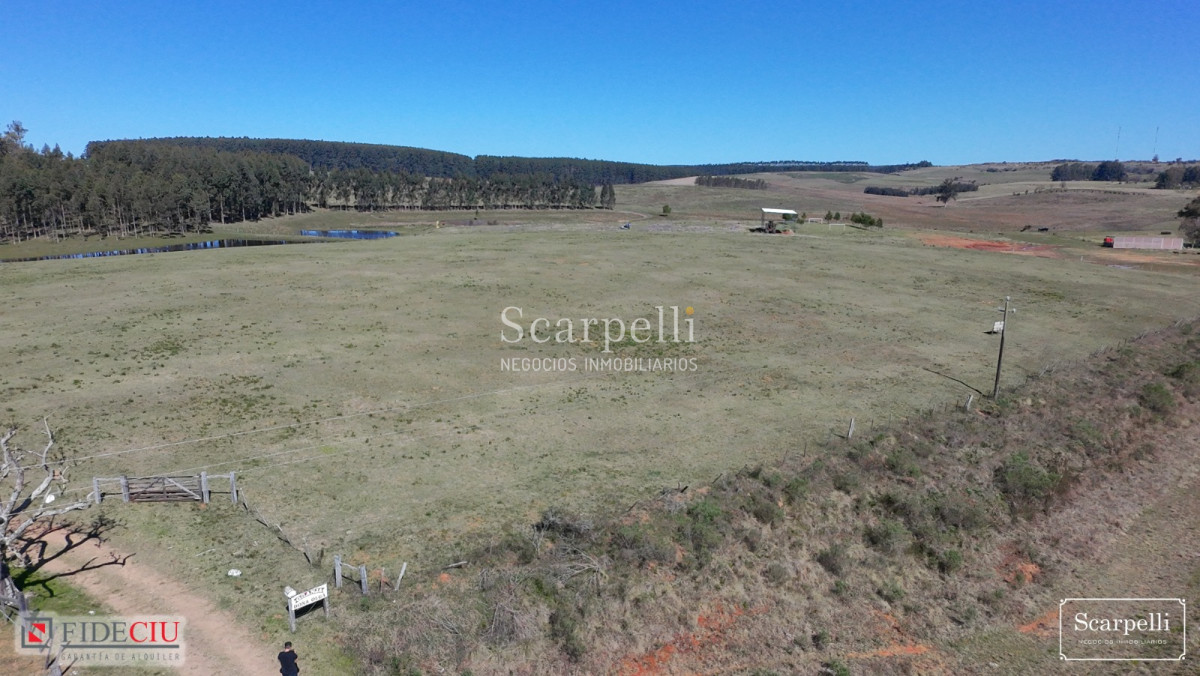 Chacra ID.50498 - Linda Chacra con frente a Ruta Nacional nro. 5