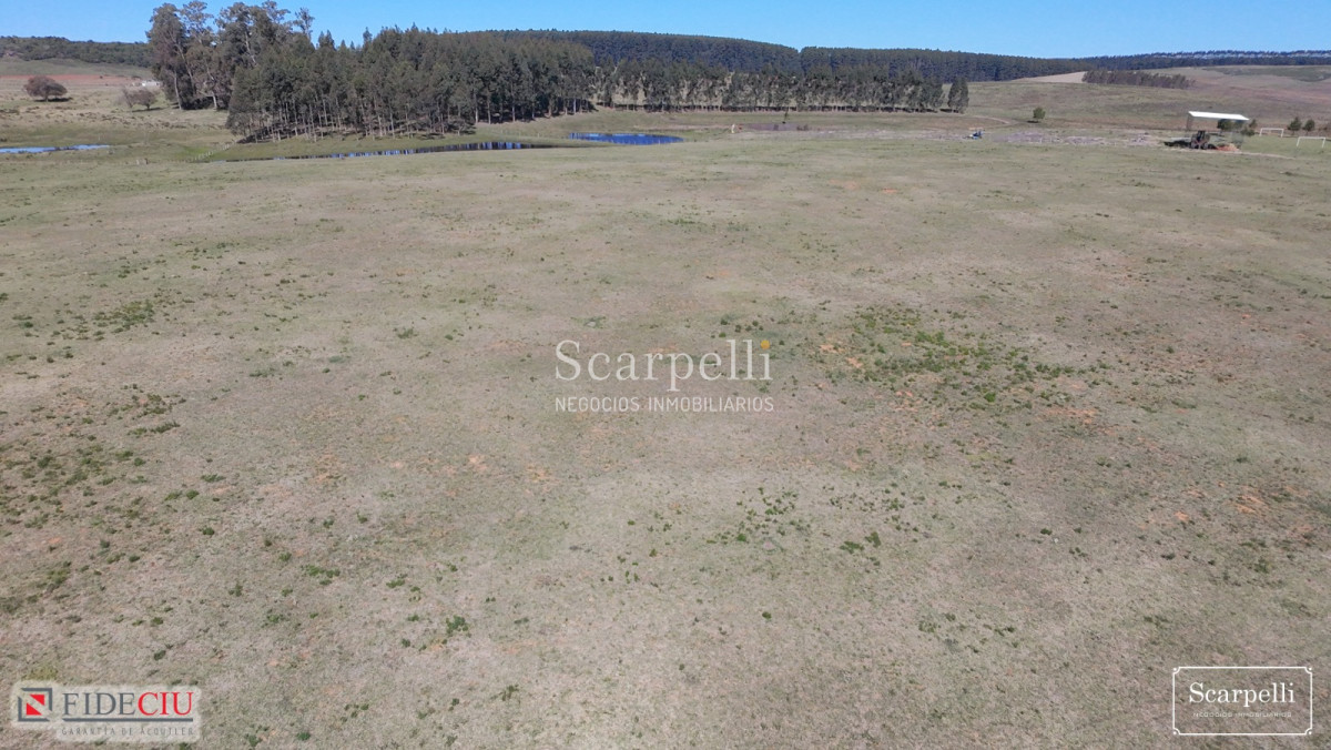 Chacra ID.50498 - Linda Chacra con frente a Ruta Nacional nro. 5