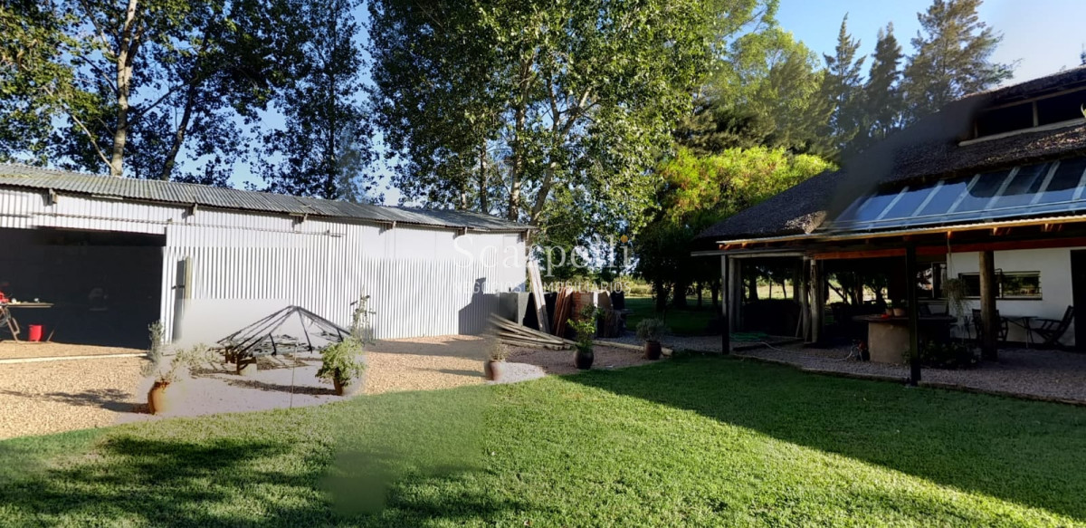Chacra ID.13798 - Soñada Chacra de casi 4 hás. ! Equipada y diseñada para vivir todo el año próximo Ciudad de Las Piedras y tan solo 25 min. de Montevideo.-
