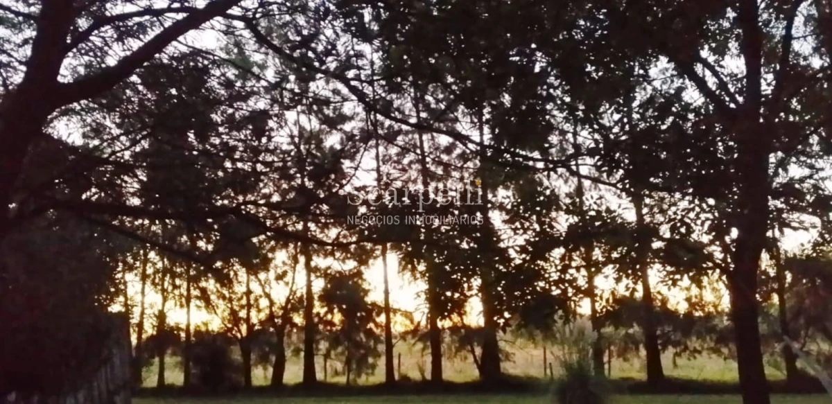 Chacra ID.13798 - Soñada Chacra de casi 4 hás. ! Equipada y diseñada para vivir todo el año próximo Ciudad de Las Piedras y tan solo 25 min. de Montevideo.-