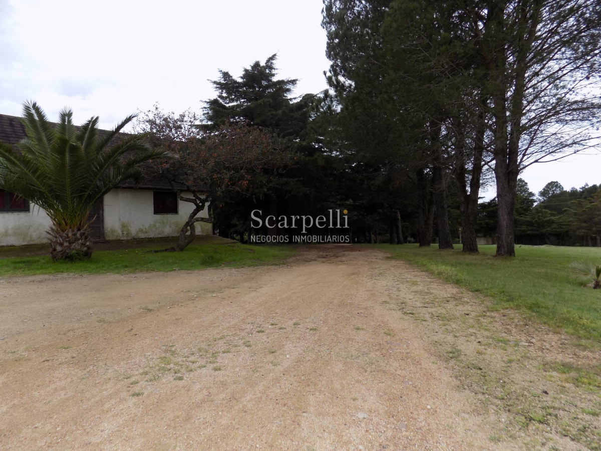 Chacra ID.14051 - 15 hás proximo a  Ruta 39 Maldonado/San Carlos y Anillo perimetral Luis Alberto de Herrera