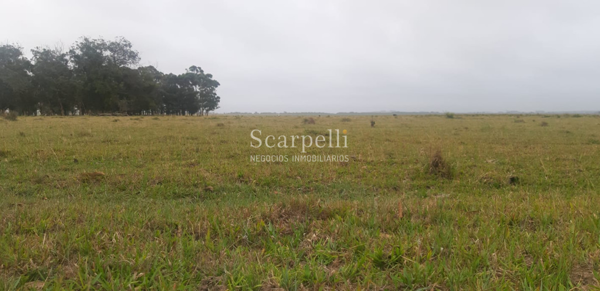 Chacra ID.19143 - Chacras exclusivas en la Ruta 10 muy proximo al acceso a Cabo Polonio y con fondos a la Laguna de Castillos.-