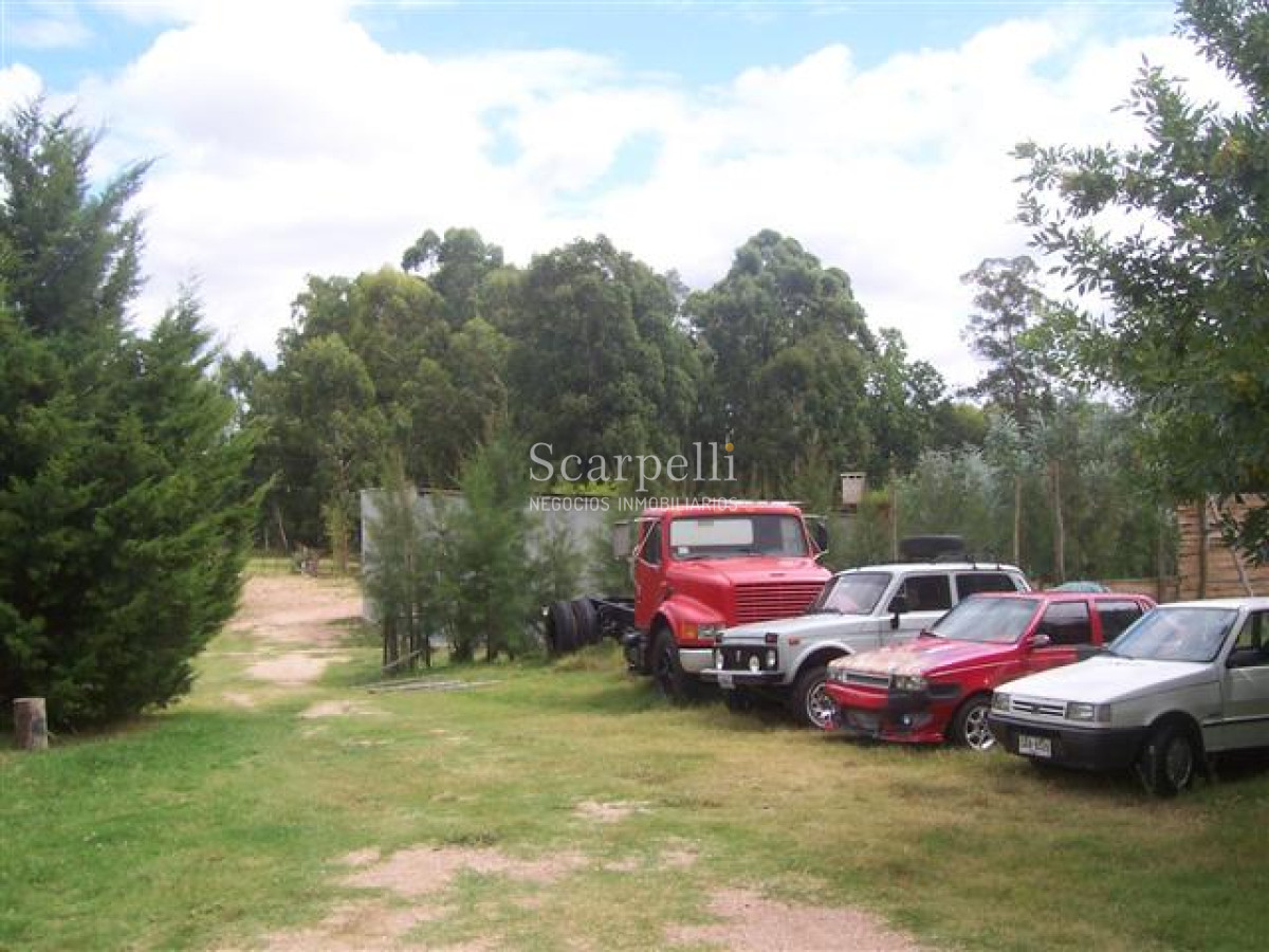 Chacra ID.29521 - Importante Terreno con 110 mts. de Frente a Ruta 8 muy próximo a Ciudad de Pando y Ruta 101.-