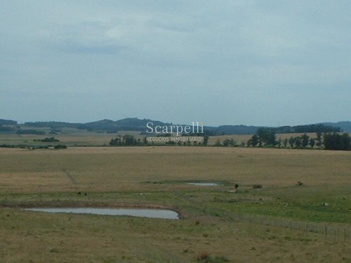 Chacra ID.34310 - VENTA CHACRA MALDONADO RUTA 9 PROXIMO LAGUNA DEL SAUCE Y SAN CARLOS