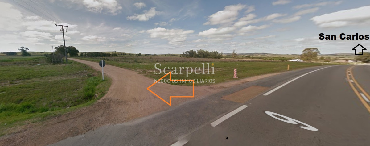 Chacra ID.34310 - VENTA CHACRA MALDONADO RUTA 9 PROXIMO LAGUNA DEL SAUCE Y SAN CARLOS