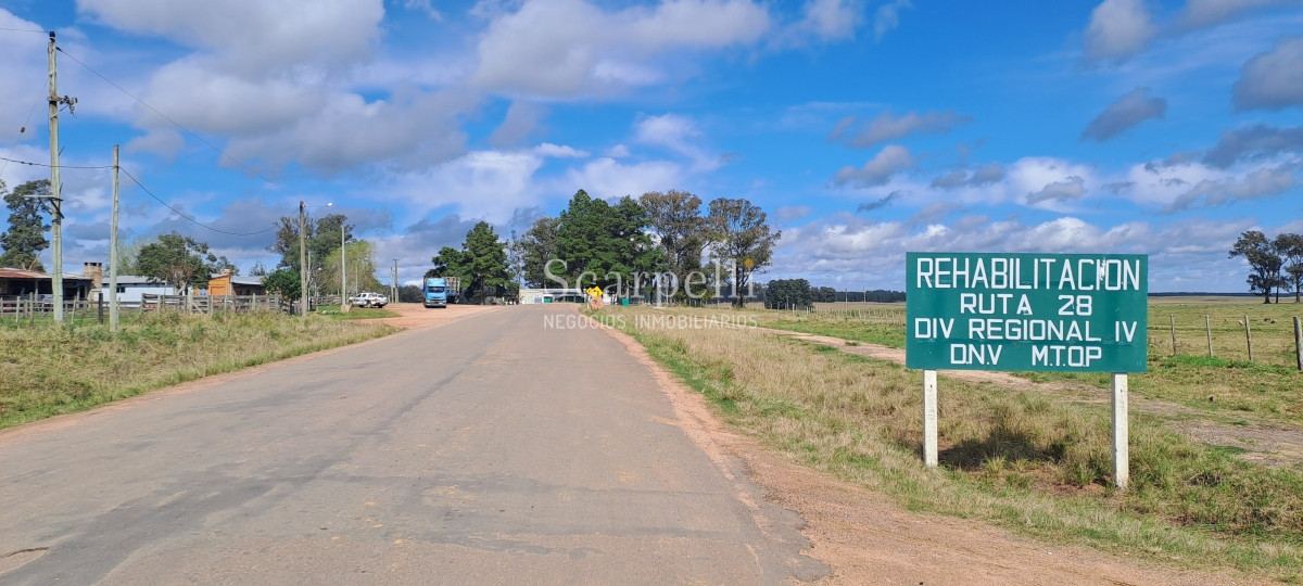 Campo Ref.50339 - Venta Campo Rivera Ruta 27  Cerros de la Calera 112 hás