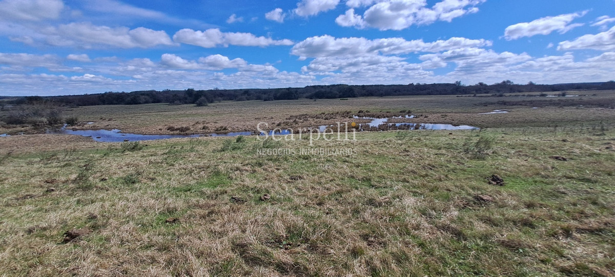 Campo Ref.50339 - Venta Campo Rivera Ruta 27  Cerros de la Calera 112 hás