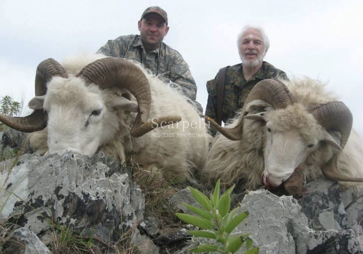 Campo Ref.50624 - Campo en Rural, 