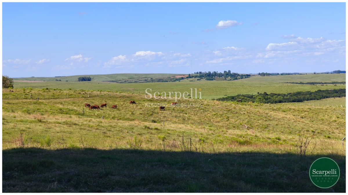 Campo Ref.50563 - Campo con costa al arroyo Yaguarí