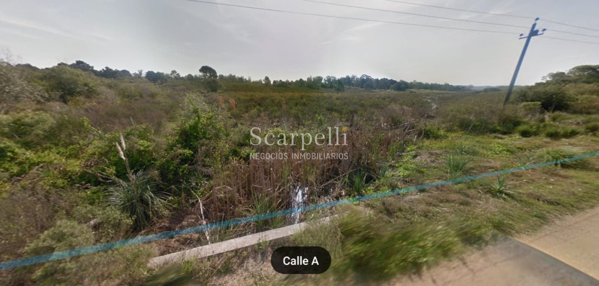 Campo Ref.16576 - Varios Lotes de 1 há aprox  muy cerca de la Laguna del Sauce y Aeropuerto Ideal Fraccionar