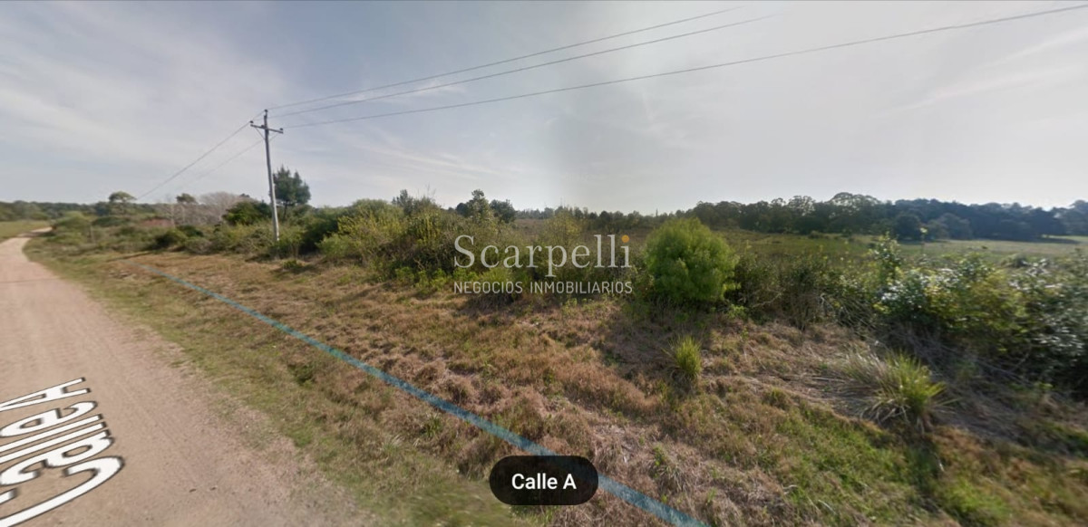 Campo Ref.16576 - Varios Lotes de 1 há aprox  muy cerca de la Laguna del Sauce y Aeropuerto Ideal Fraccionar