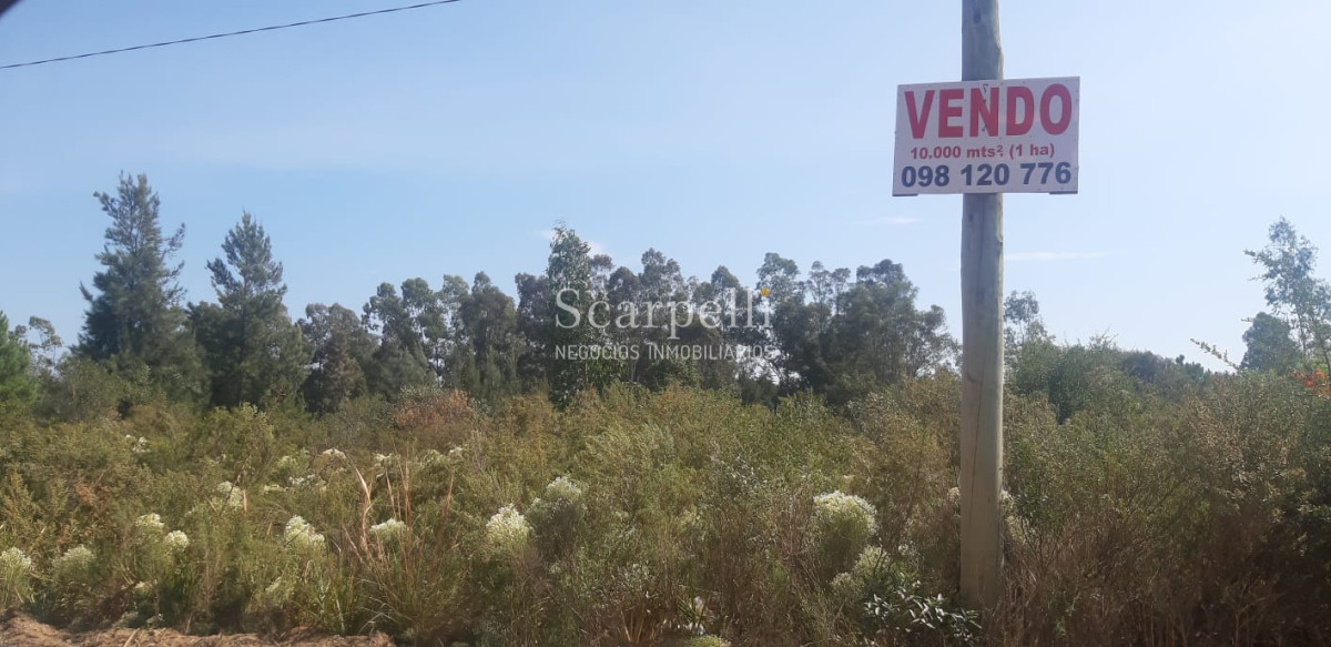 Campo Ref.16576 - Varios Lotes de 1 há aprox  muy cerca de la Laguna del Sauce y Aeropuerto Ideal Fraccionar