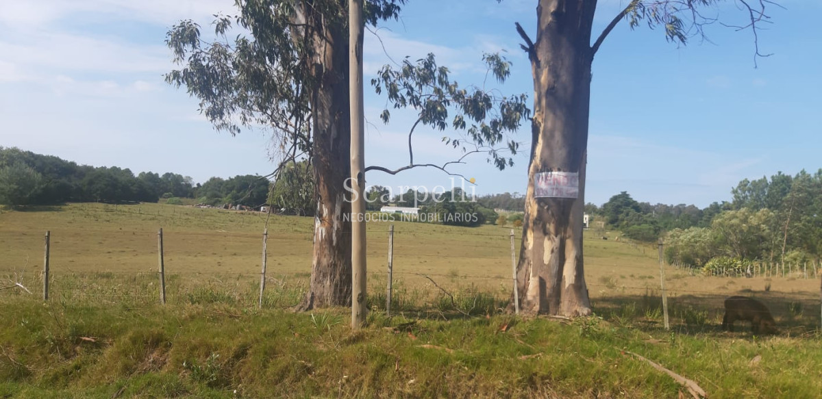 Campo Ref.16576 - Varios Lotes de 1 há aprox  muy cerca de la Laguna del Sauce y Aeropuerto Ideal Fraccionar