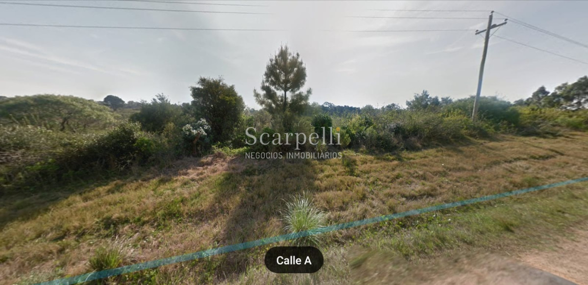 Campo Ref.16576 - Varios Lotes de 1 há aprox  muy cerca de la Laguna del Sauce y Aeropuerto Ideal Fraccionar