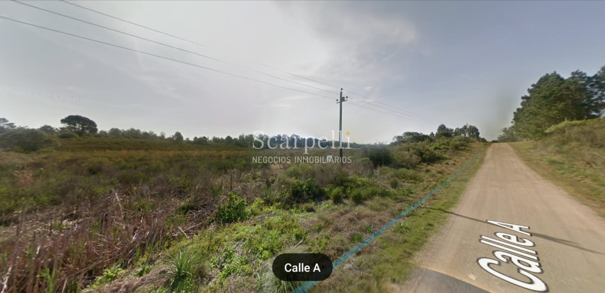 Campo Ref.16576 - Varios Lotes de 1 há aprox  muy cerca de la Laguna del Sauce y Aeropuerto Ideal Fraccionar