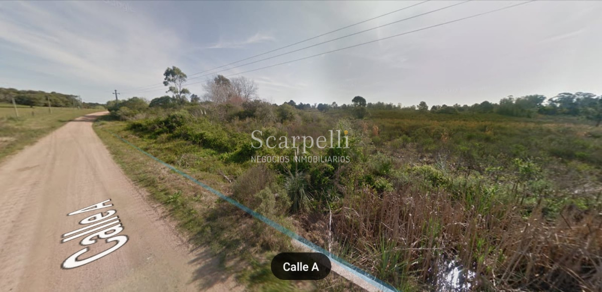 Campo Ref.16576 - Varios Lotes de 1 há aprox  muy cerca de la Laguna del Sauce y Aeropuerto Ideal Fraccionar