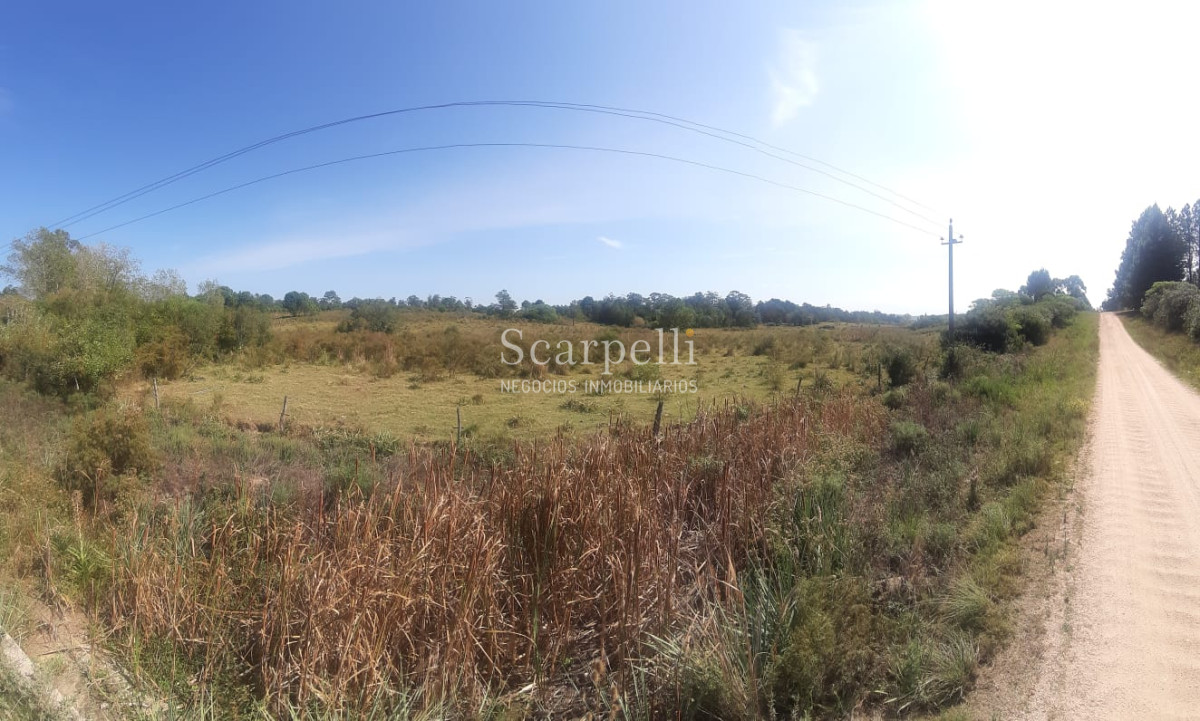 Campo Ref.16576 - Varios Lotes de 1 há aprox  muy cerca de la Laguna del Sauce y Aeropuerto Ideal Fraccionar