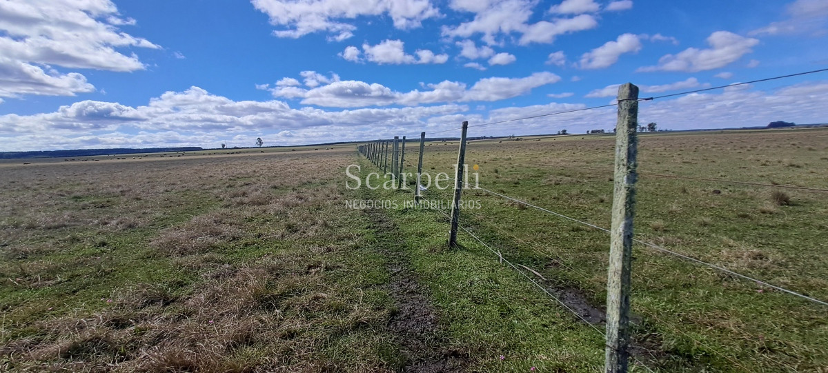 Campo Ref.50339 - Venta Campo Rivera Ruta 27  Cerros de la Calera 112 hás
