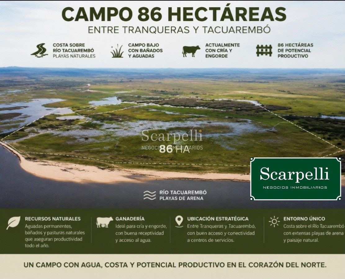 Campo Ref.50474 - VENTA CAMPO RIVERA 86 Hás Costa Rio Tacuarembó Ideal Cultivos Húmedos Arroz Soja etc.