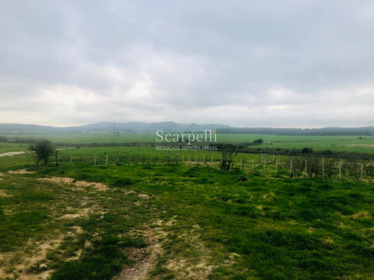 Campo Ref.23173 - Interesantes Opciones de Campos Próximos a Ruta 9 & San Carlos con Excelentes Mejoras.-