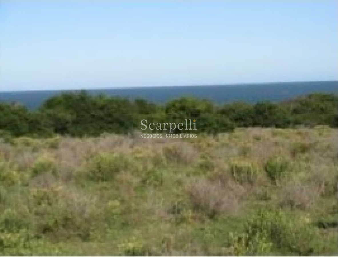 Campo Ref.24930 - La Pedrera Ruta 10 km. 227.500 casi 10.000 m2 frente al Océano Rochense Ideal Club de Campo Oceánico