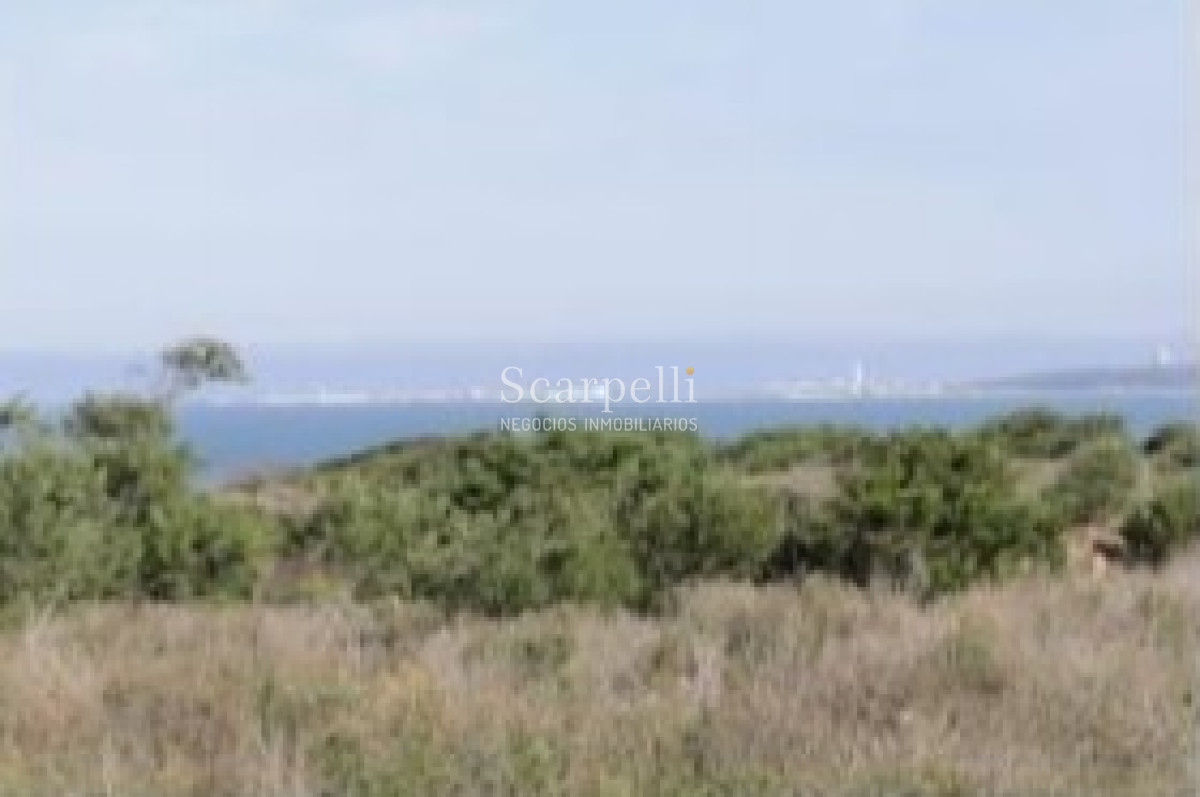 Campo Ref.24930 - La Pedrera Ruta 10 km. 227.500 casi 10.000 m2 frente al Océano Rochense Ideal Club de Campo Oceánico
