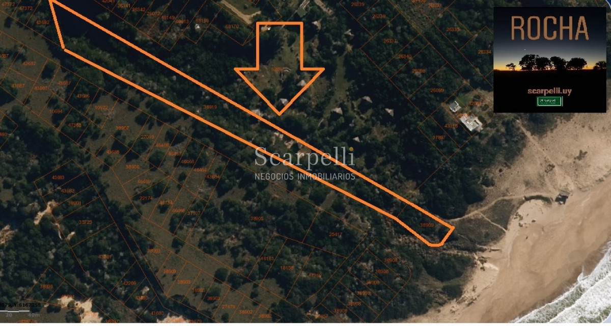 Campo Ref.24930 - La Pedrera Ruta 10 km. 227.500 casi 10.000 m2 frente al Océano Rochense Ideal Club de Campo Oceánico