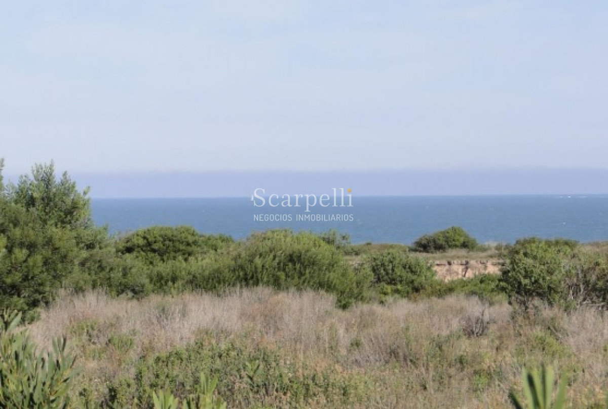 Campo Ref.24930 - La Pedrera Ruta 10 km. 227.500 casi 10.000 m2 frente al Océano Rochense Ideal Club de Campo Oceánico